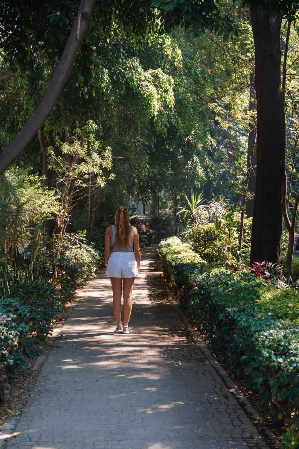 Parque Mexico Condesa